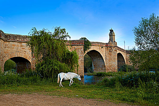 桥,白马,卡塞雷斯,埃斯特雷马杜拉,西班牙,道路