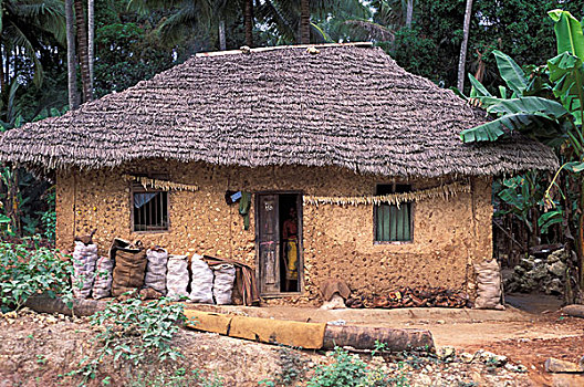 非洲,马达加斯加,房子