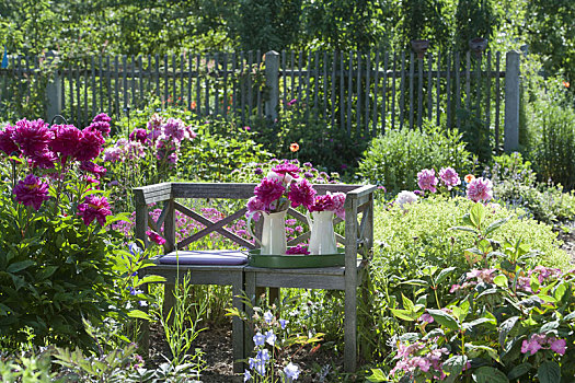 浪漫,座椅,多年生植物,花园