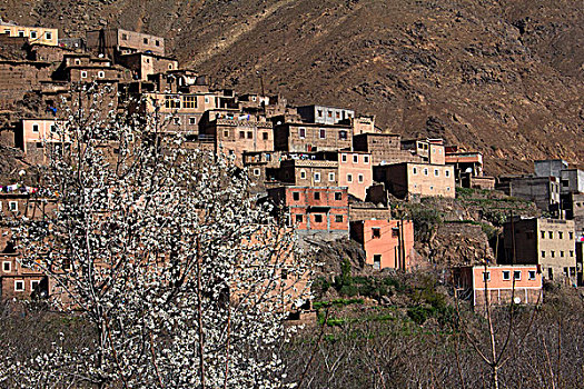 摩洛哥,乡村,阿特拉斯山脉