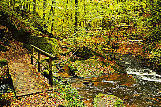 峡谷,靠近,普拉蒂纳特,树林,莱茵兰普法尔茨州,德国