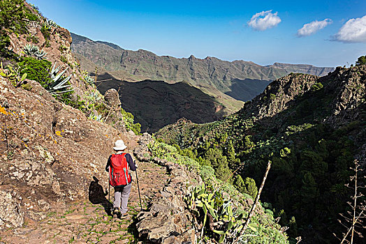 女人,背包,徒步旅行,圣塞巴斯蒂安,加纳利群岛,西班牙