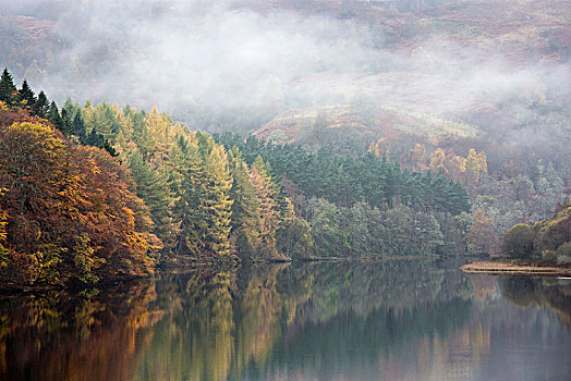 神秘,雾,上方,平和,秋天,树,湖,苏格兰