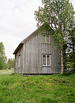 灰色,屋舍,瑞典