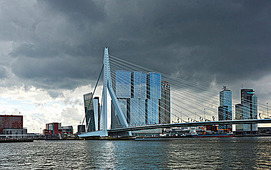 鹿特丹,现代建筑,水岸,天际线,风景,水,夜晚