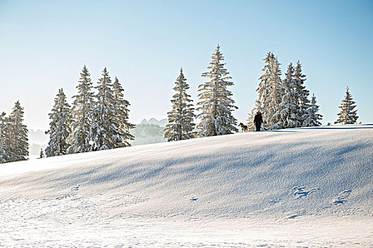 女人,狗,雪地