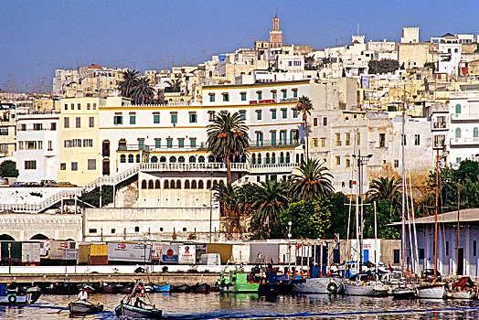 北非,摩洛哥,丹吉尔,老,麦地那,著名,酒店