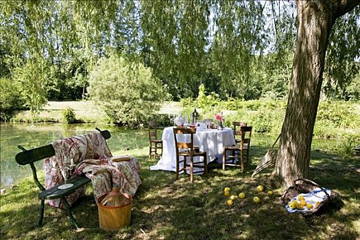 桌子,水塘,浪漫,花园
