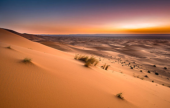 沙丘,日出,却比沙丘,梅如卡,撒哈拉沙漠,摩洛哥,非洲