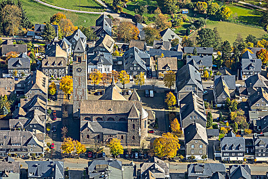 教堂,金色,十月,深秋,藻厄兰,北莱茵威斯特伐利亚,德国