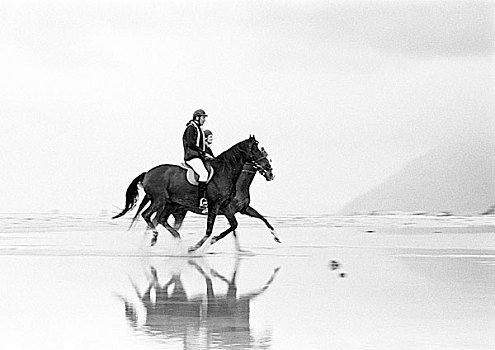 两个人,骑马,海滩,侧面视角
