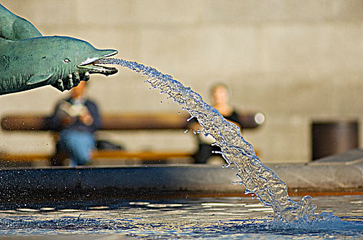 英格兰,伦敦,特拉法尔加广场,水,倒出,嘴,青铜,雕塑,海豚,喷泉