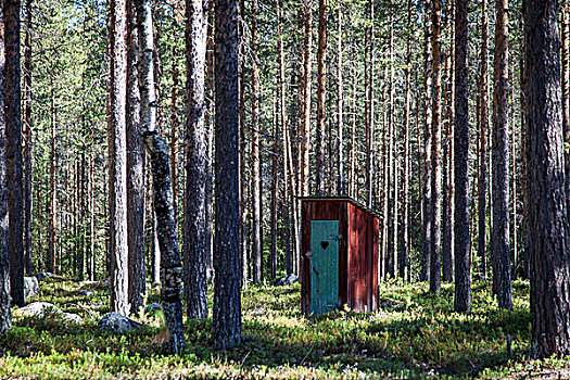 厕所,心形,门,瑞典,树林,欧洲