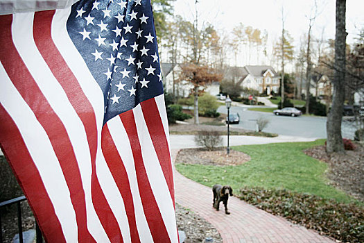 美国国旗,飞,院子,郊区,房子