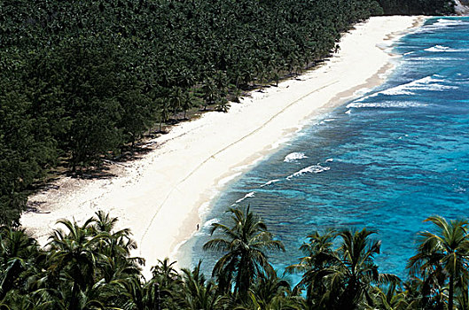热带沙滩,棕榈树