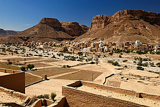 历史,砖坯,老城,哈德拉毛,也门,阿拉伯,中亚