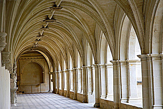 法国,曼恩-卢瓦尔省,安茹,皇家,教堂,16世纪