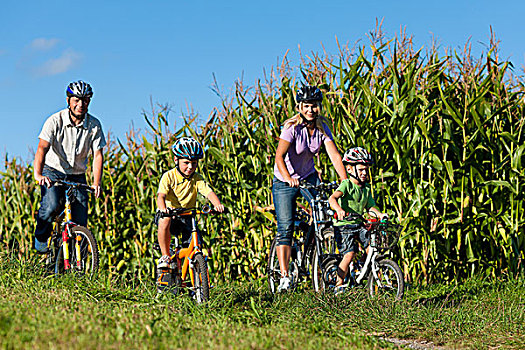 家庭,骑自行车,夏天,父亲,母亲,两个,儿子
