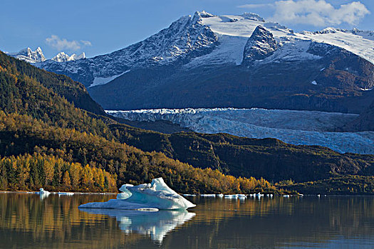冰山,漂浮,平静,表面,湖,秋天,早晨,棉田豪冰河,东南阿拉斯加