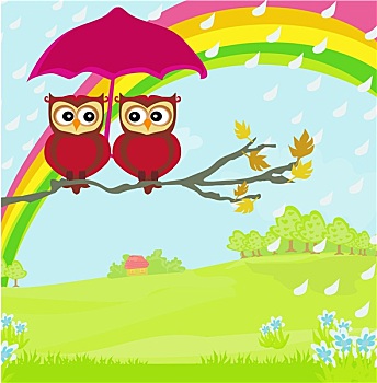 猫头鹰,情侣,伞,秋天,雨天