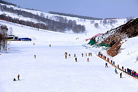 在滑雪场白色的雪道上滑雪的人