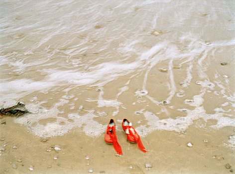 一对,红色,鞋,白色,羽毛,室内,海滩,潮汐,他们