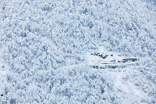 西岭雪山大雪的美丽风景