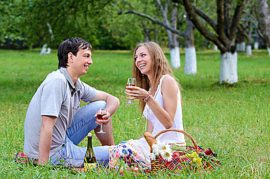 年轻,幸福伴侣,葡萄酒杯,乐趣,野餐,户外