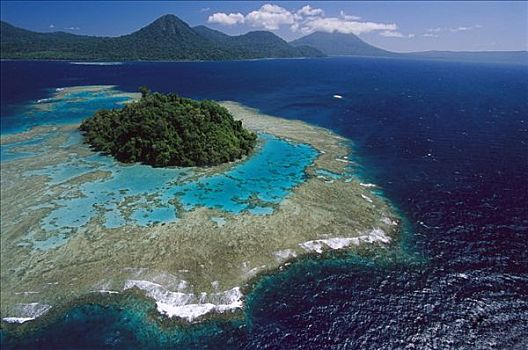 珊瑚礁,岛屿,湾,西部,新不列颠岛,巴布亚新几内亚