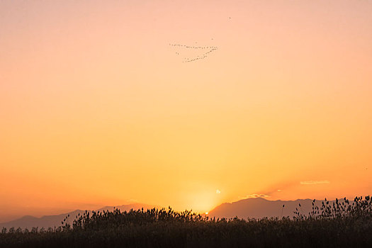 沙湖农场,沙湖景区