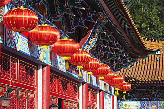 灯笼,西部,寺院,新界,香港,中国