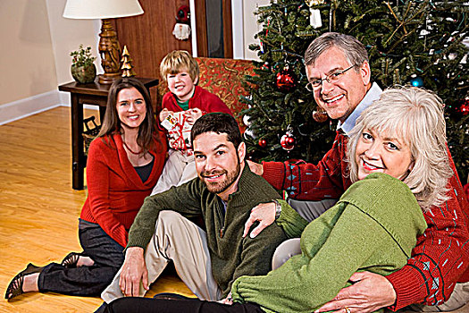 家庭,假日,聚会,圣诞树