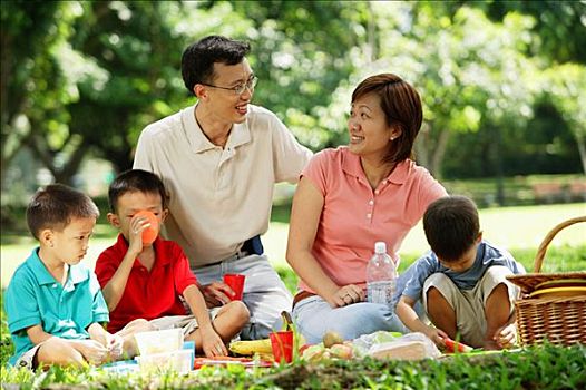 家庭,三个男孩,野餐,公园