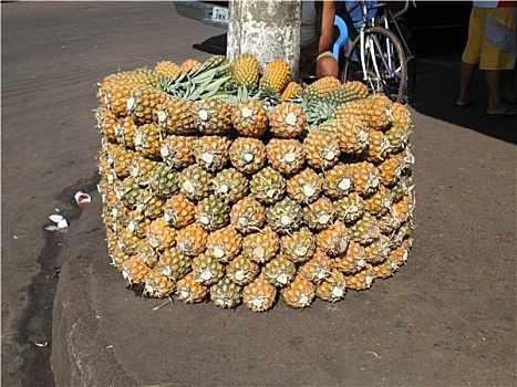 菠萝,马瑙斯,亚马逊