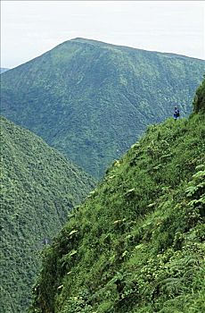 夏威夷,夏威夷大岛,威庇欧山谷,远足者,山脊,小路,远眺,山谷