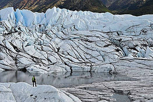 人,巨大,冰壁,冰河,阿拉斯加,美国