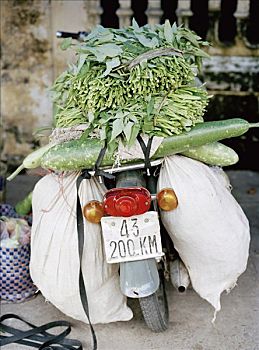 摩托车,蔬菜,越南