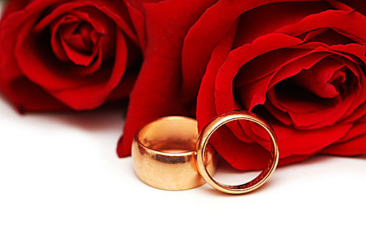黄金,戒指,红玫瑰,隔绝,白色背景