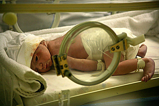 婴儿,男孩,南非,十月,2008年