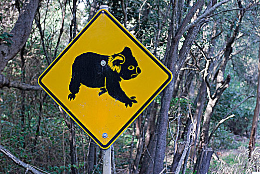 澳大利亚,新南威尔士,树袋熊,路标