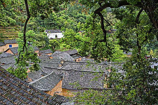 探访中国浙南山区古村落