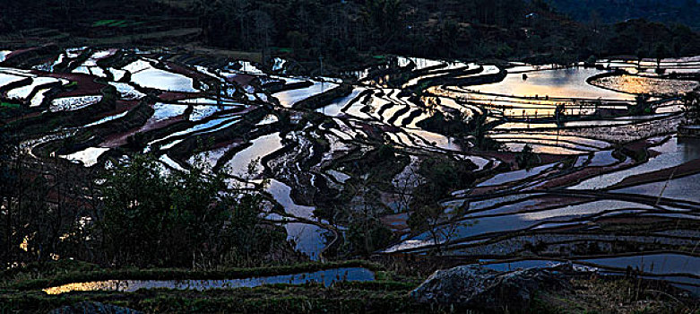 云南元阳梯田