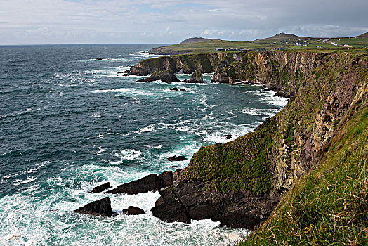 悬崖,靠近,丁格尔半岛,爱尔兰,英国,欧洲
