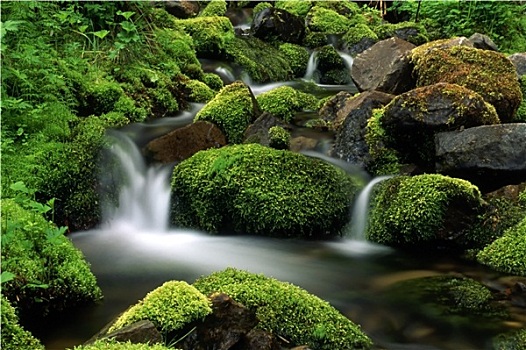 河流,山