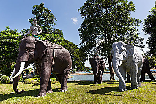 大象,纪念建筑,幸运,苏林,省,泰国,亚洲
