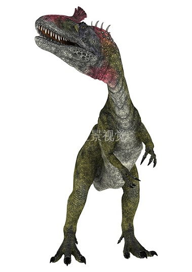 堪塔斯恐龙图片