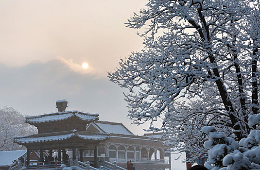 雪后颐和园