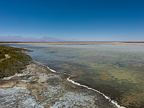 风景,泻湖,佩特罗,阿塔卡马沙漠,省,安托法加斯塔大区,智利