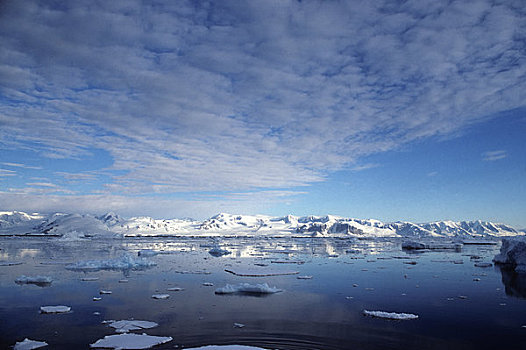 南极半岛,区域,山峦,冰,夜光