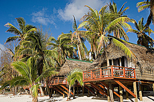 海滩小屋,棕榈树,库克群岛